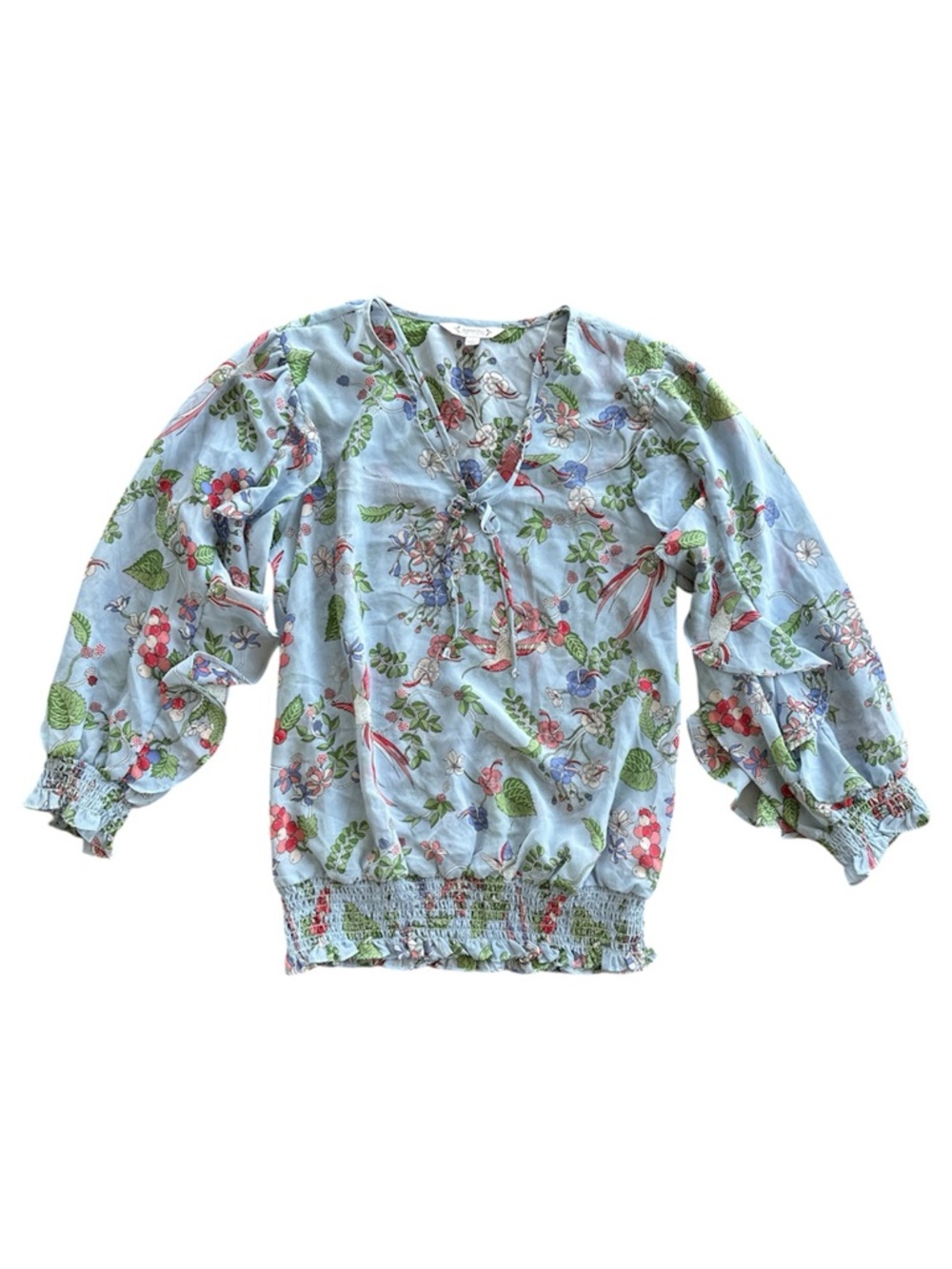 Nanette Lepore Light Blue Floral Hummingbird Ruffle Sleeve Spring Brunch Women